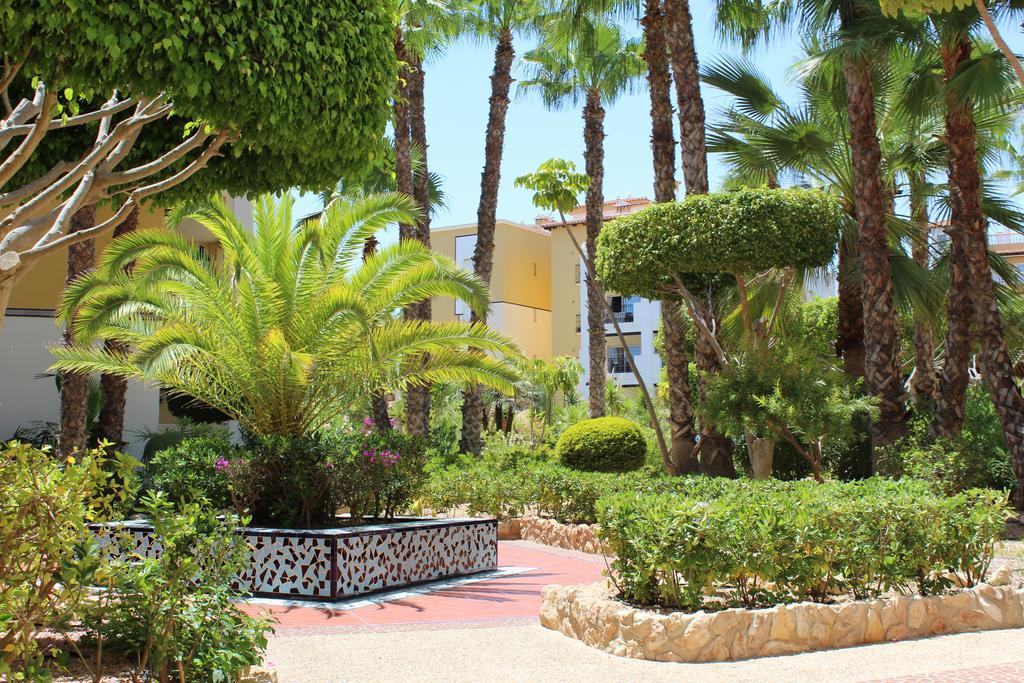 Aldea Del Mar Appartement Torrevieja Buitenkant foto